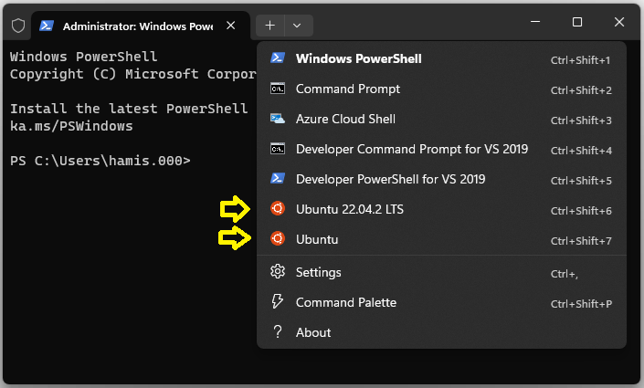 Windows Terminal показує, як вибрати оболонку Ubuntu